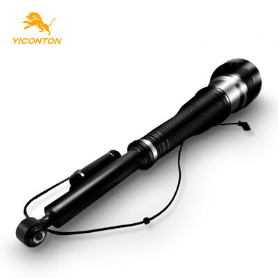 2213205613 Geeignet für Benz S-Klasse (W221) / CL-Klasse (C216)