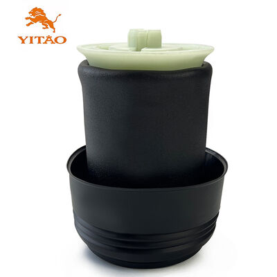Auto-pneumatischer hinteres Seat-Luft-Frühling für BMW X5 E70 37126790079