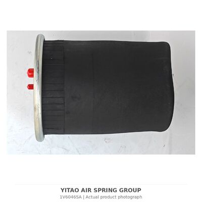 1V6046SA MAN Luftfeder ohne Kolben 81436010152 | 4884N1P01